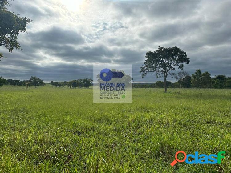 Fazenda 349 ha apenas 40 km de Campo Grande 5