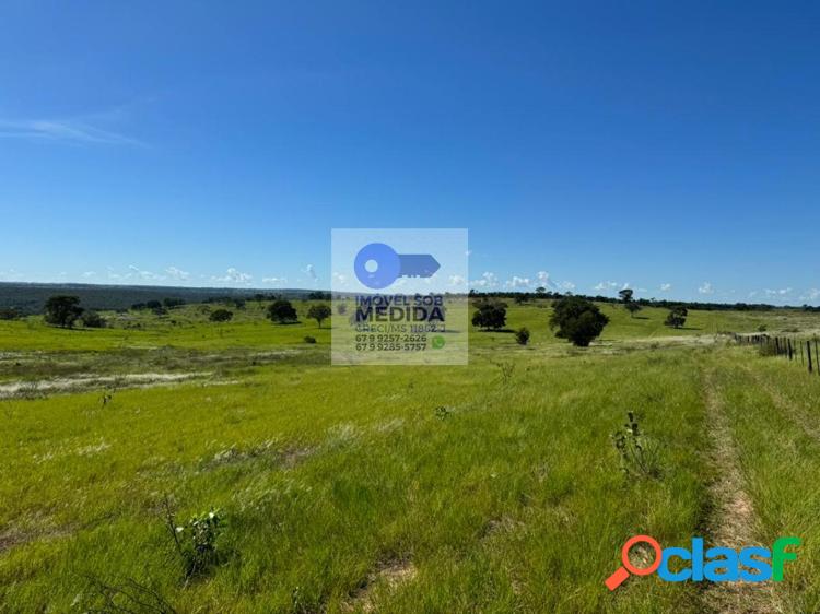 Fazenda 561 hectares Excelente Logística e Estrutura 4