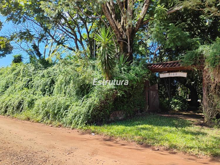 Fazenda/sítio/chácara/haras para alugar no pains - santa Fazenda/sítio/chácara/haras para alugar no pains - santa